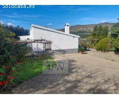 Finca Rustica de 11000m² de terreno producivo en Casarabonela.