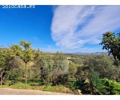 Finca Rustica de 11000m² de terreno producivo en Casarabonela.