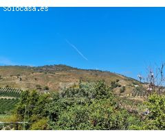 Finca Rustica de 11000m² de terreno producivo en Casarabonela.