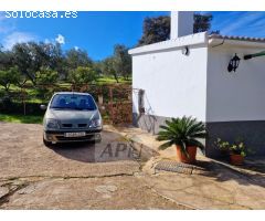 Finca Rustica de 11000m² de terreno producivo en Casarabonela.