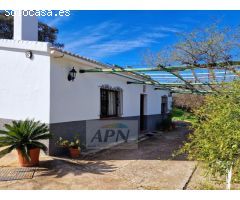 Finca Rustica de 11000m² de terreno producivo en Casarabonela.