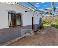 Finca Rustica de 11000m² de terreno producivo en Casarabonela.