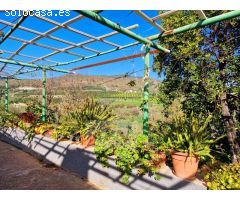 Finca Rustica de 11000m² de terreno producivo en Casarabonela.