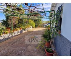 Finca Rustica de 11000m² de terreno producivo en Casarabonela.