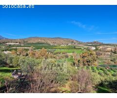 Finca Rustica de 11000m² de terreno producivo en Casarabonela.