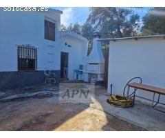 Finca Rustica de 11000m² de terreno producivo en Casarabonela.