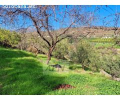 Finca Rustica de 11000m² de terreno producivo en Casarabonela.