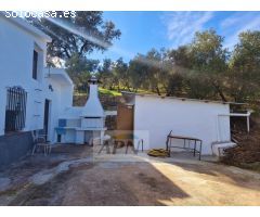 Finca Rustica de 11000m² de terreno producivo en Casarabonela.
