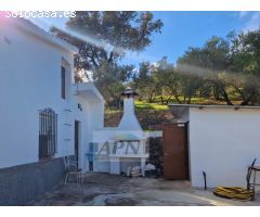 Finca Rustica de 11000m² de terreno producivo en Casarabonela.