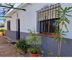 Finca Rustica de 11000m² de terreno producivo en Casarabonela.