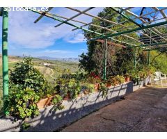 Finca Rustica de 11000m² de terreno producivo en Casarabonela.