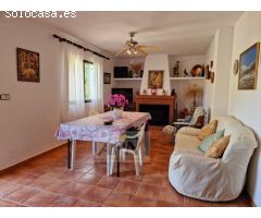 Finca Rustica de 11000m² de terreno producivo en Casarabonela.