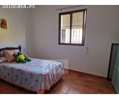 Finca Rustica de 11000m² de terreno producivo en Casarabonela.