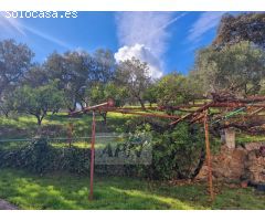Finca Rustica de 11000m² de terreno producivo en Casarabonela.