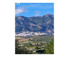 Finca Rustica de 11000m² de terreno producivo en Casarabonela.