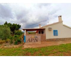 BONITO APARTAMENTO EN LA MALAGUETA