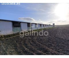 GRANJA AVICOLA EN ARAHAL