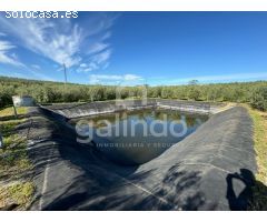 PARCELA RUSTICA CON PISCINA
