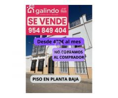 PISO EN PLANTA BAJA JUNTO CTRA CIRCUNVALACION