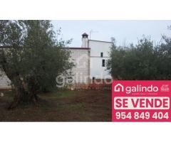 FINCA RUSTICA CON CONSTRUCCION EN LA SIERRA