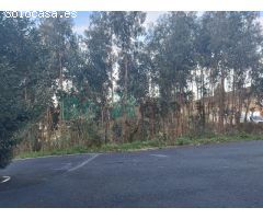 Oportunidad de Local Comercial 234 m² en Pastoriza (Arteixo)