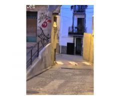 También con oportunidad de alquiler con opción a compra