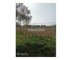 Parcela rústica con cuarto de aperos