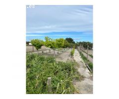 FINCA RUSTICA CON CASA DE CAMPO Y BOXES