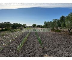 FINCA RUSTICA CON CASA DE CAMPO Y BOXES