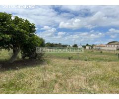 FINCA PAGO DE HUMO 4500M2 CASA DE 93 M2 DECLARADOS