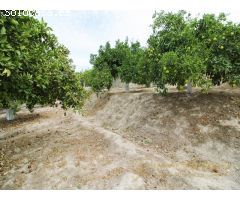 Se vende Casa de campo en Alhaurín el Grande