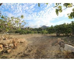 FINCA RUSTICA CON POTENCIAL COMERCIAL EN ALH DE LA TORRE