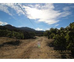FINCA RUSTICA CON POTENCIAL COMERCIAL EN ALH DE LA TORRE