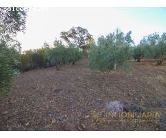 Se Vende terreno en Partido Moreta