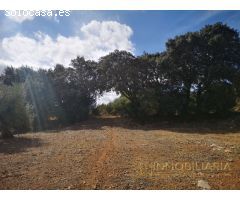 OPÒRTUNIDAD UNICA EN ALHAURIN EL GRANDE FINCA RUSTICA.