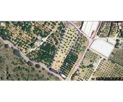 OPÒRTUNIDAD UNICA EN ALHAURIN EL GRANDE FINCA RUSTICA.