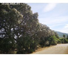 OPÒRTUNIDAD UNICA EN ALHAURIN EL GRANDE FINCA RUSTICA.