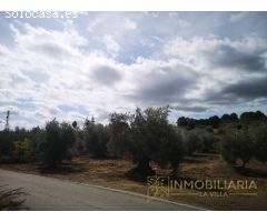OPÒRTUNIDAD UNICA EN ALHAURIN EL GRANDE FINCA RUSTICA.