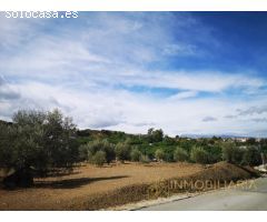 OPÒRTUNIDAD UNICA EN ALHAURIN EL GRANDE FINCA RUSTICA.