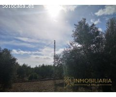 OPÒRTUNIDAD UNICA EN ALHAURIN EL GRANDE FINCA RUSTICA.