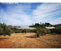 OPÒRTUNIDAD UNICA EN ALHAURIN EL GRANDE FINCA RUSTICA.