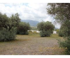 Extensa finca rustica con posibilidad de luz y agua de pozo