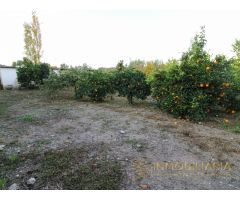 Se vende parcela con pequeña casa por Cortijo Benítez