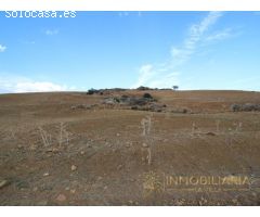 EXTENSA FINCA CON RUINA Y POSIBILIDADES DE CONSTRUCION