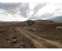 EXTENSA FINCA CON RUINA Y POSIBILIDADES DE CONSTRUCION