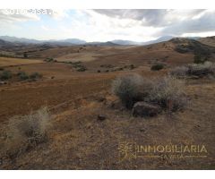 EXTENSA FINCA CON RUINA Y POSIBILIDADES DE CONSTRUCION