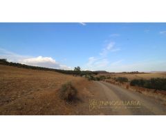 EXTENSA FINCA CON RUINA Y POSIBILIDADES DE CONSTRUCION