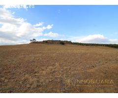 EXTENSA FINCA CON RUINA Y POSIBILIDADES DE CONSTRUCION