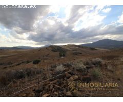 EXTENSA FINCA CON RUINA Y POSIBILIDADES DE CONSTRUCION