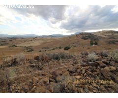 EXTENSA FINCA CON RUINA Y POSIBILIDADES DE CONSTRUCION